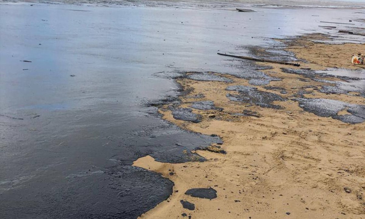 На популярном курорте в море образовалось огромное нефтяное пятно