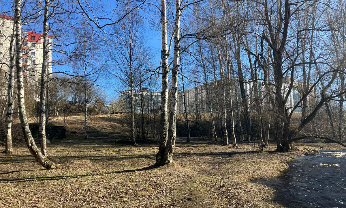 Синоптики рассказали, какая погода будет в Карелии в ближайшие дни