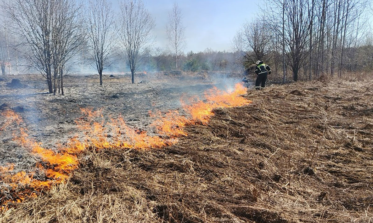 По всей Карелии начали гореть мусор и трава