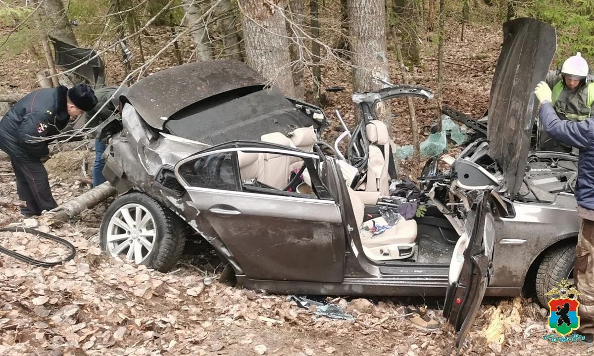 В Карелии BMW рухнул в кювет и врезался в дерево: два человека погибли