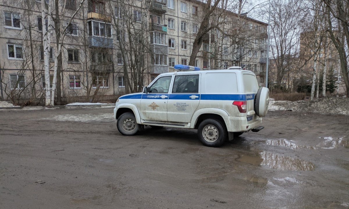 Житель Карелии умер через несколько дней после избиения на улице