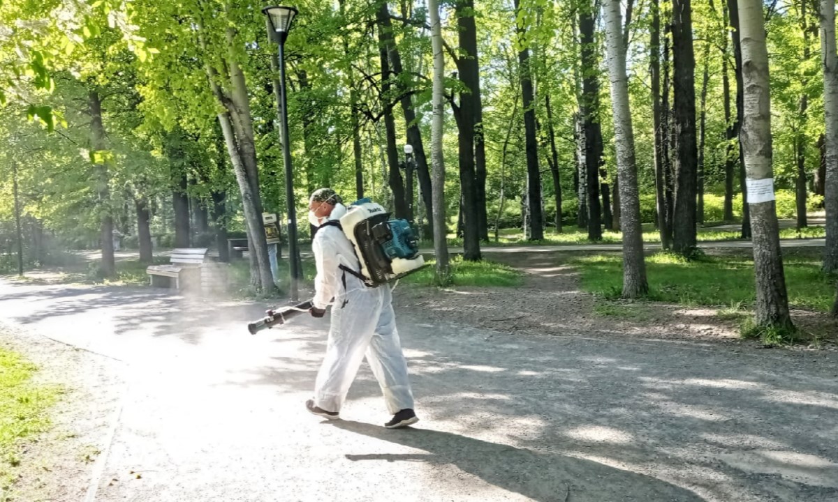 В администрации Петрозаводска рассказали, должны ли управляющие компании обрабатывать от клещей дворы