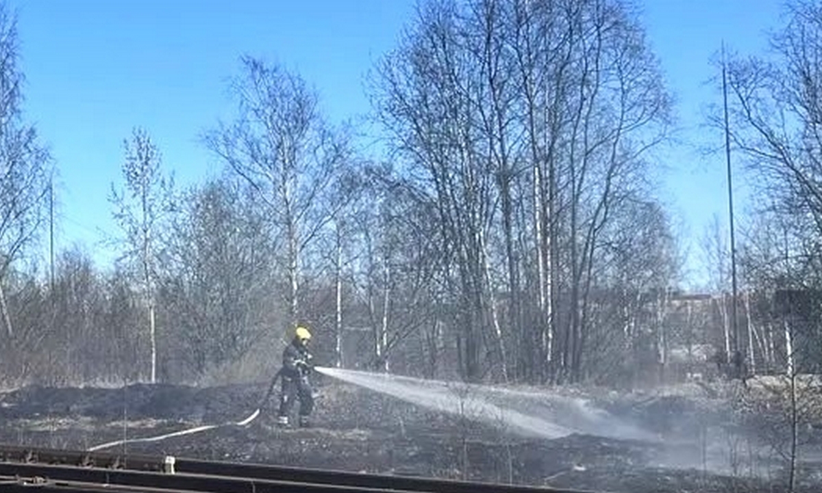 Поселок в Карелии остался без света из-за горящей травы