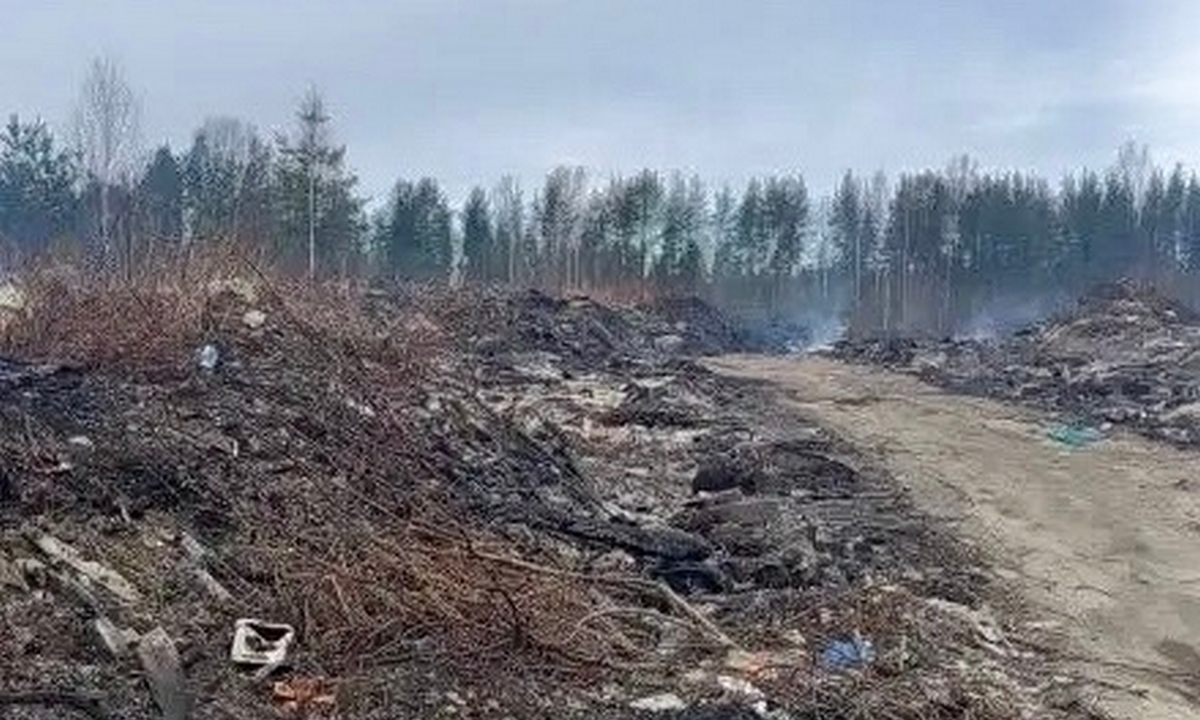 В Карелии почти потушили свалку: огонь мог перекинуться на дома