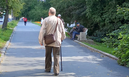пенсионер прогулка скамейка
