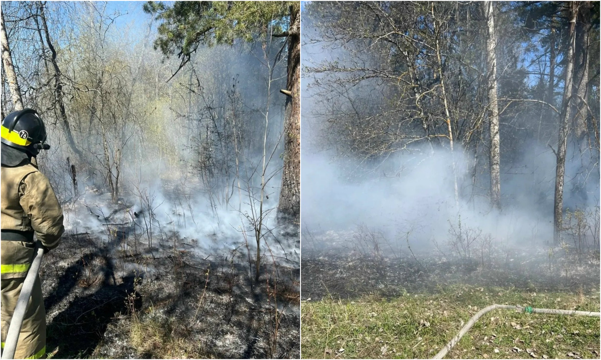 Под Петрозаводском утром загорелся лес