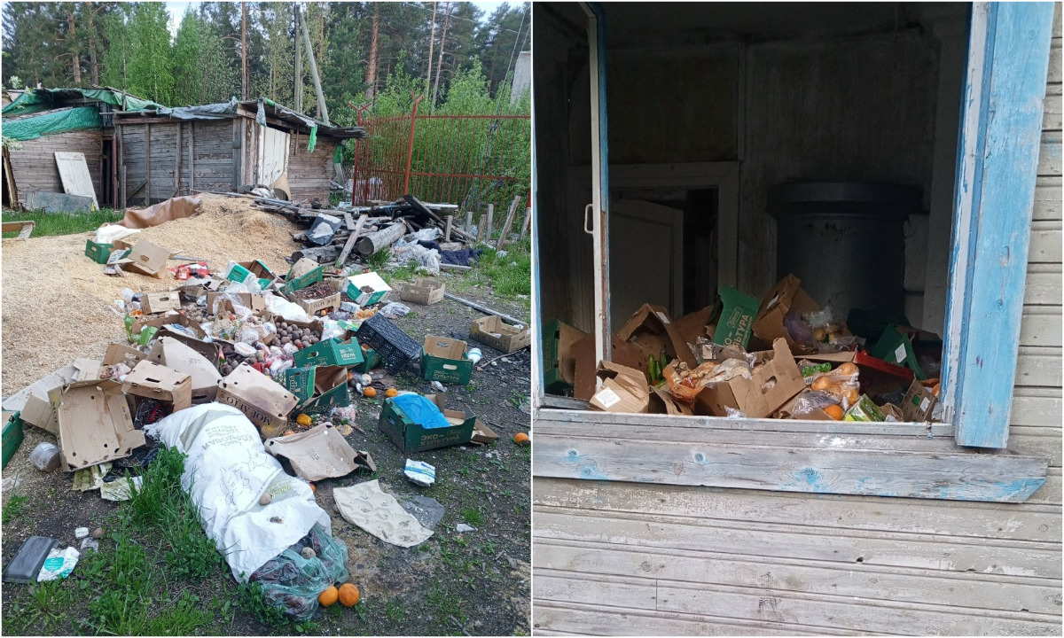 «Просто ужас». В Петрозаводске нашли новую свалку гниющих продуктов: мусор выкидывают в заброшенный дом