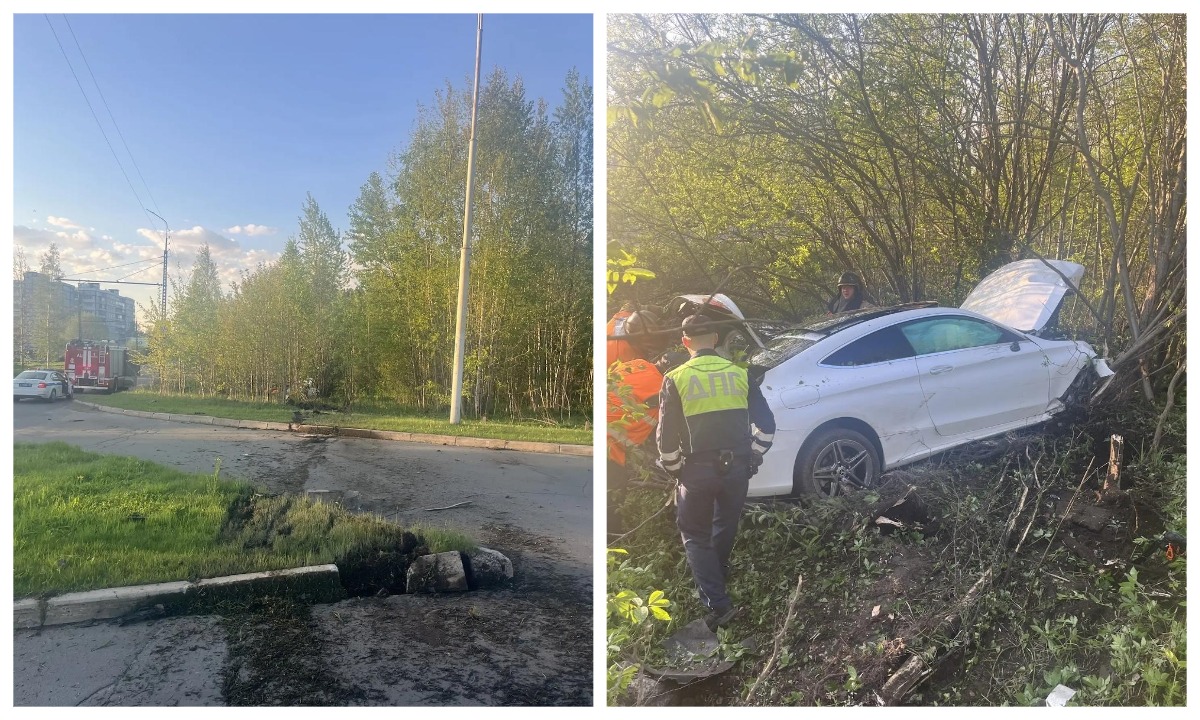 В Петрозаводске водитель, вылетевший с дороги в лес, получил 68 штрафов за год