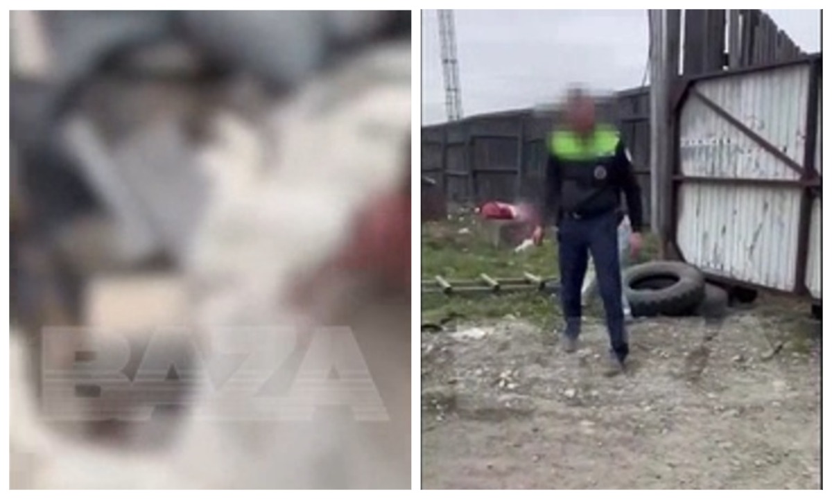 Полицейские перепутали адрес и застрелили домашнюю собаку