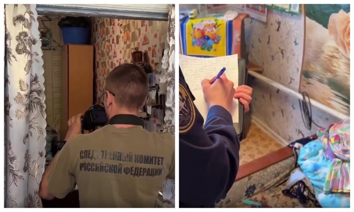 На двух школьниц напали в гостях у бабушки: одна из них не выжила