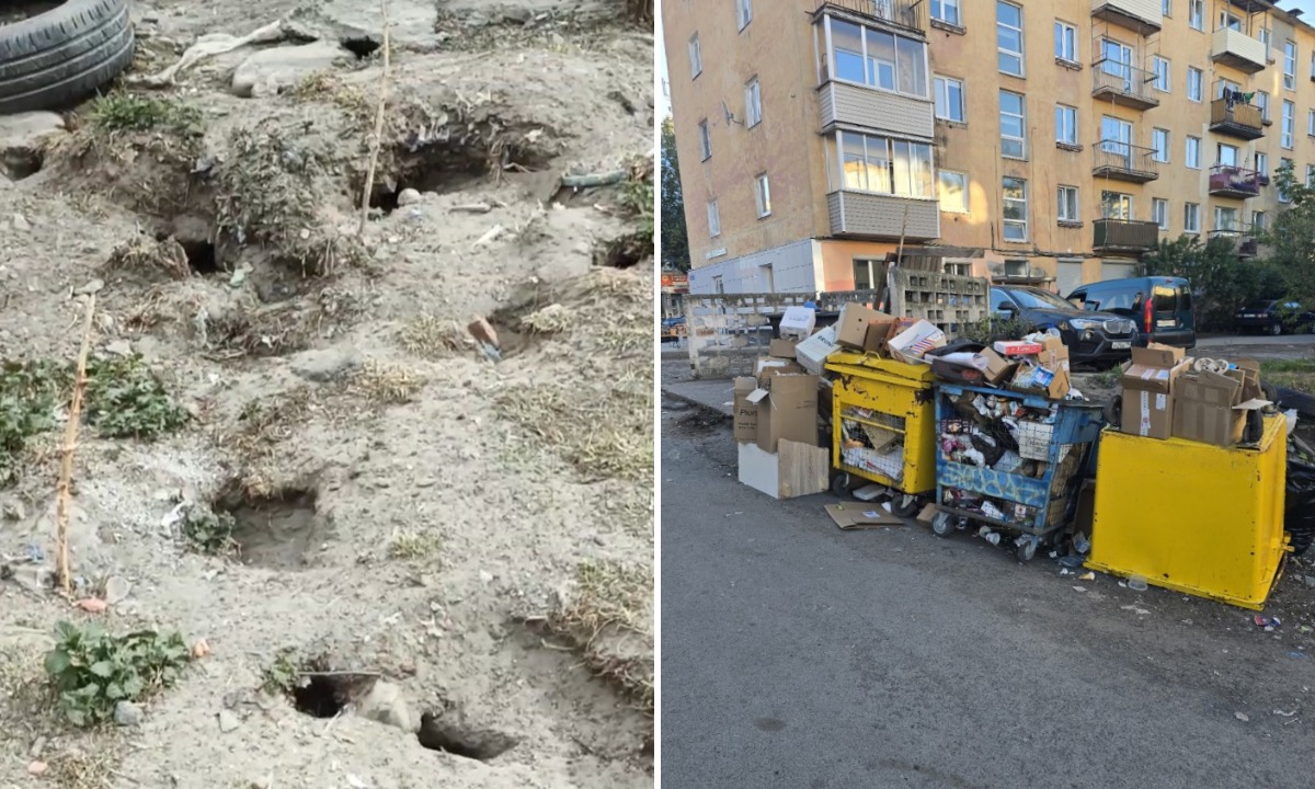 Во дворе Петрозаводска разросся крысиный город: люди жалуются уже год