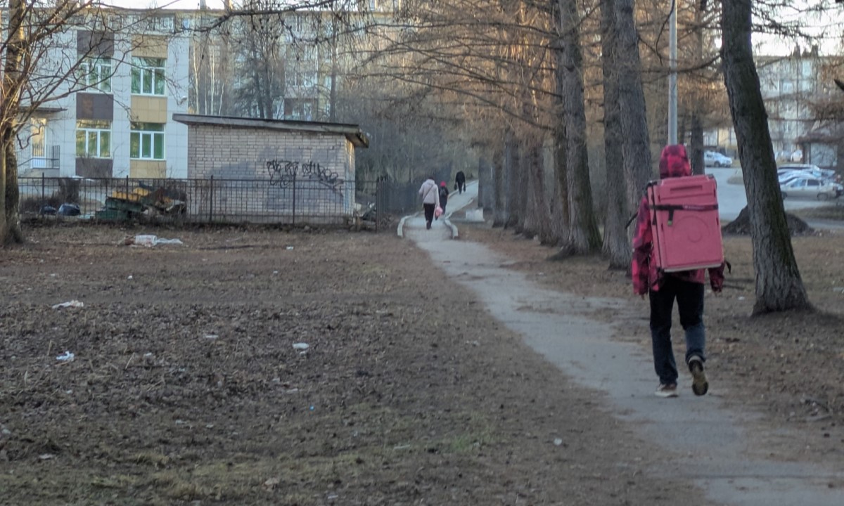 В Петрозаводске подросток нашел способ бесплатно заказывать продукты