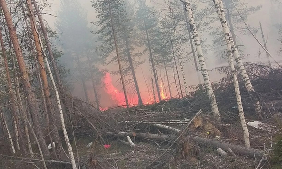 В Карелии потушили уже боле 20 пожаров в лесах
