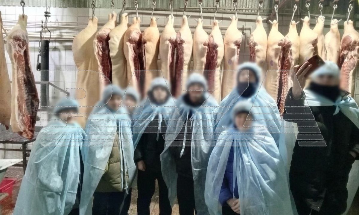 Школьников шокировали экскурсией на скотобойню с фотосессией у туш животных