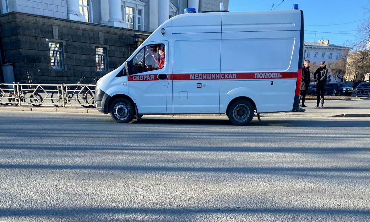 «Прокусан бок, кровотечение, шок». Собака напала на ребенка в Петрозаводске