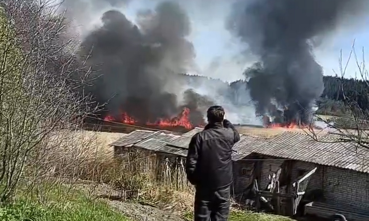 «Такой крик стоял». Появилось видео, как полыхала туристическая тропа в Карелии