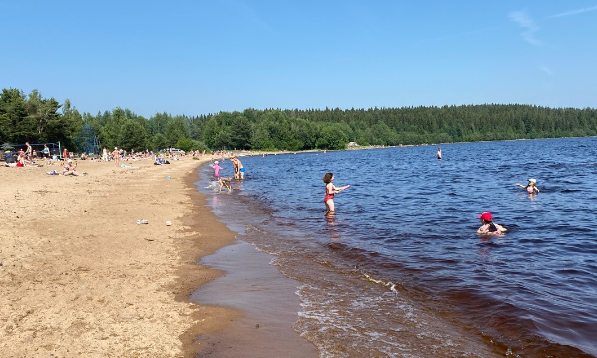 Пляжи в туристическом городе Карелии опасны для здоровья