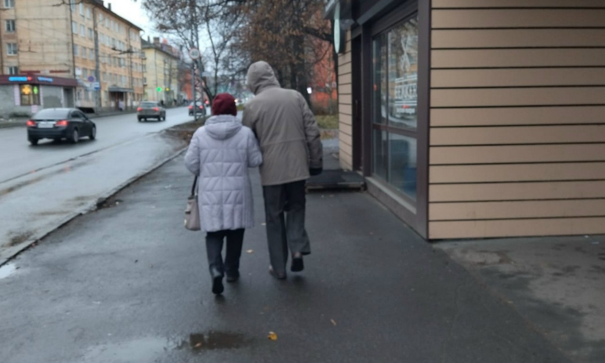В Карелии пожилые супруги расфасовали миллионы по пакетам и отвезли в другие города