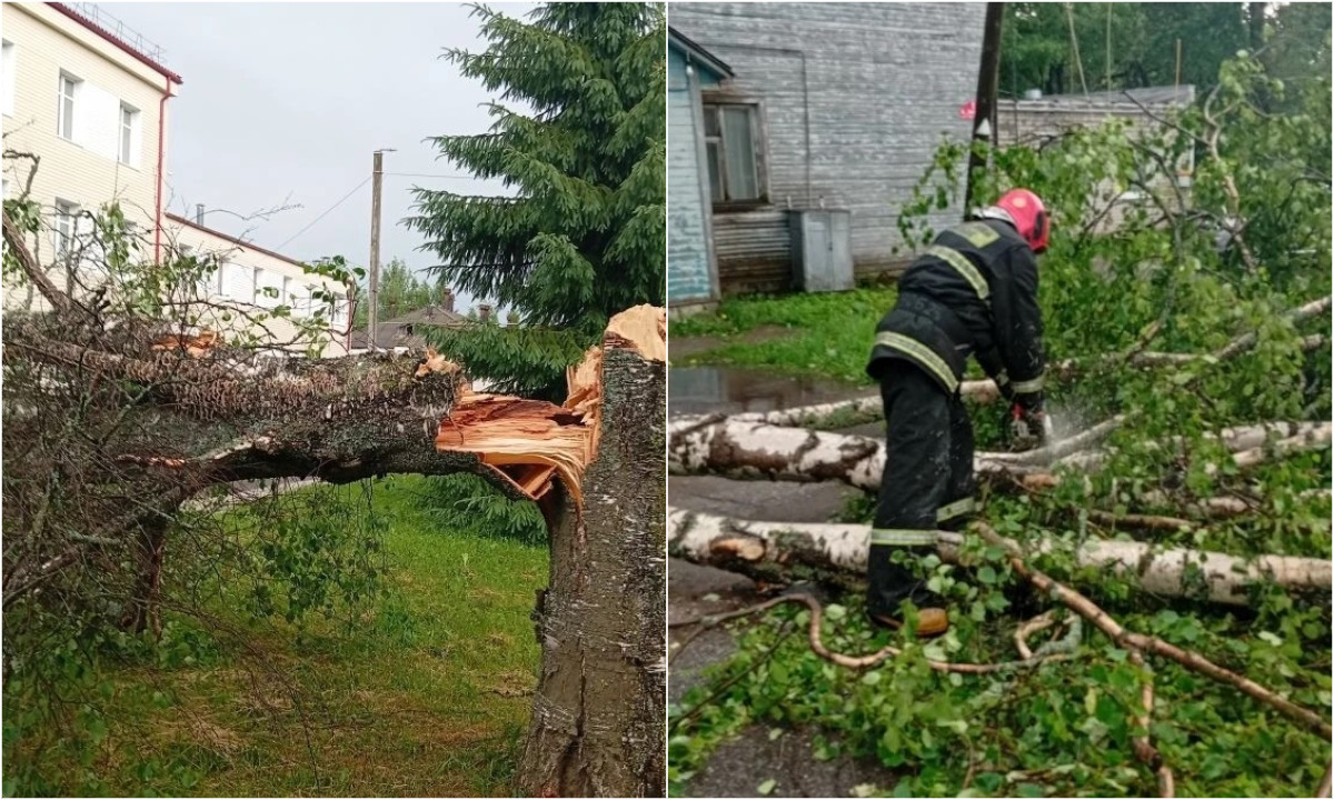 В Карелии ураганный ветер снес деревья