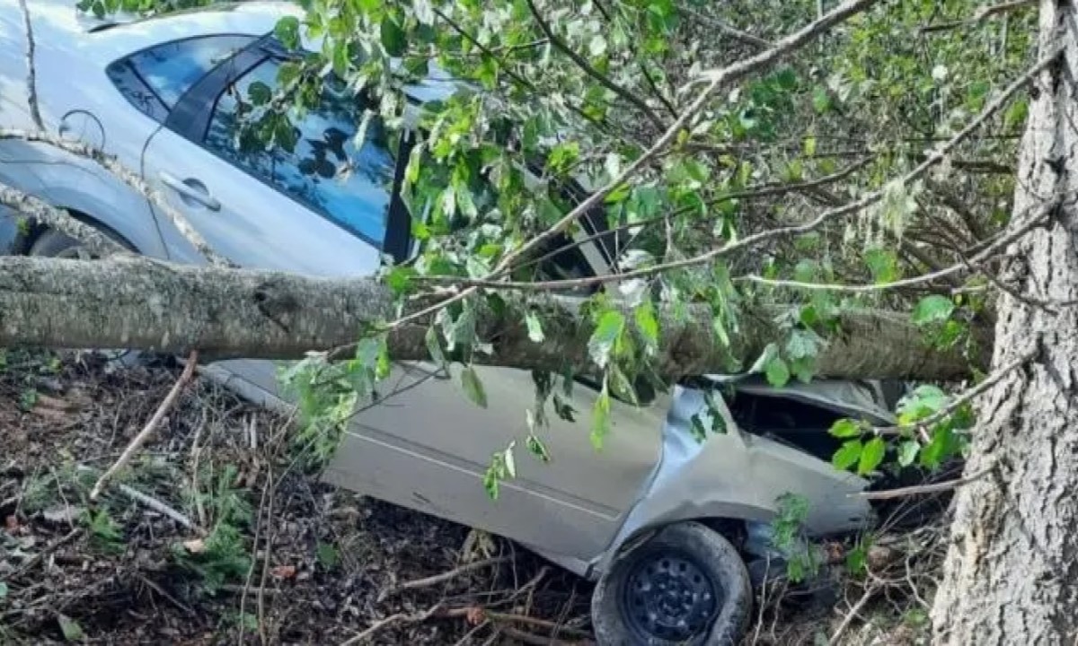 В Карелии водитель улетел в кювет из-за приступа бронхита