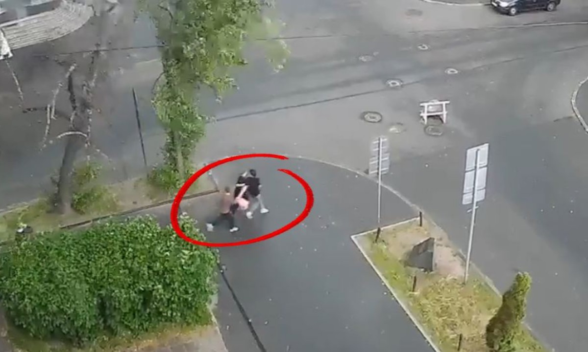 Упавшее дерево чуть не прибило прохожих в Петрозаводске