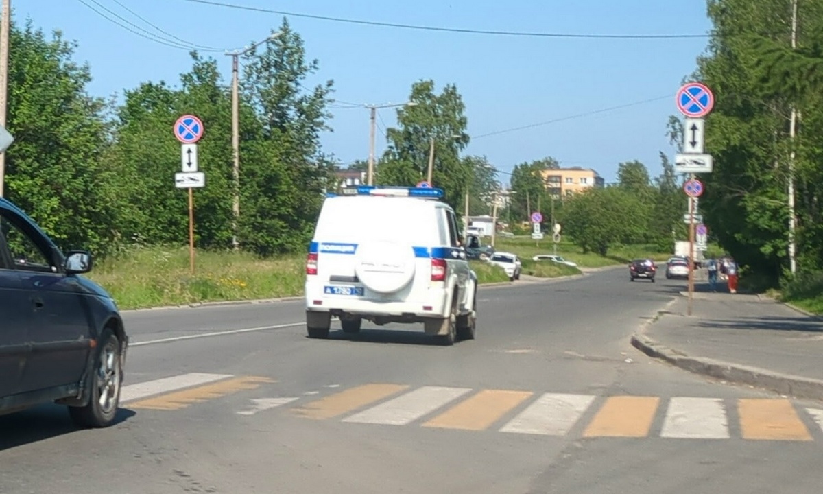 В Карелии мужчина прижег женщину расскаленным утюгом