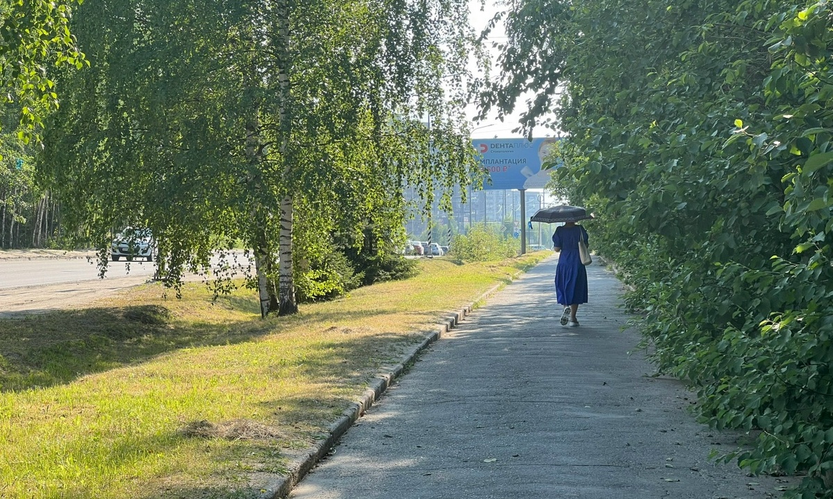 Аномальная жара идет в Карелию