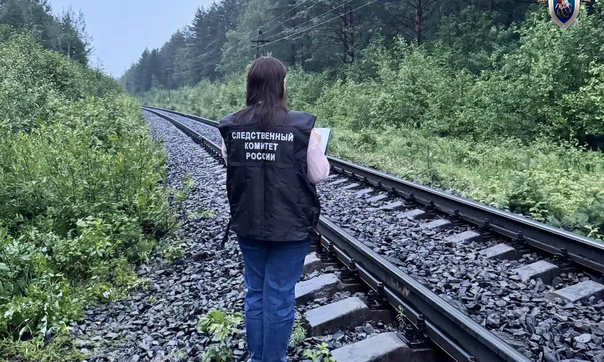 Молодой мужчина погиб под поездом в Карелии