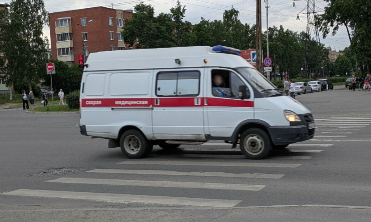 В Карелии люди все чаще гибнут по одной причине