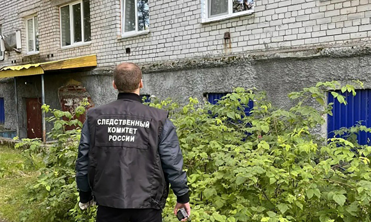 В Карелии пенсионер выпал из окна