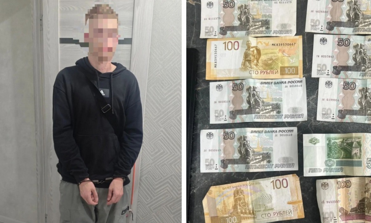 Задержан парень, из-за которого жительница Карелии лишилась полмиллиона рублей