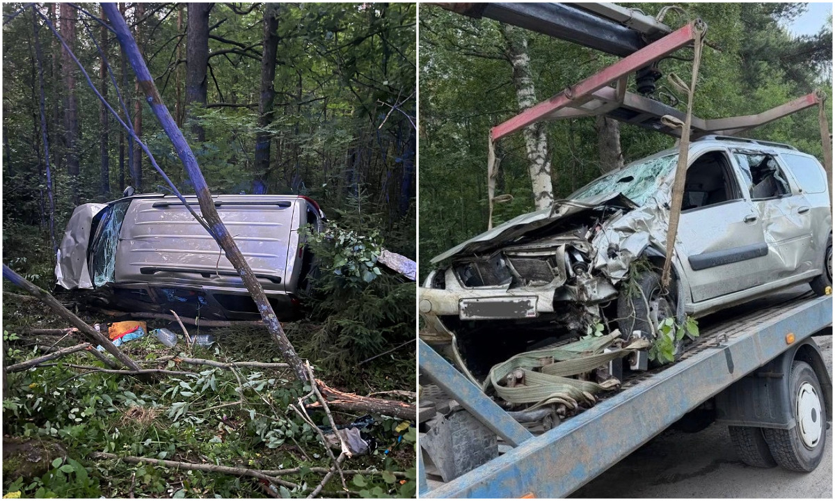 В Петрозаводске пьяный водитель сломал кучу деревьев