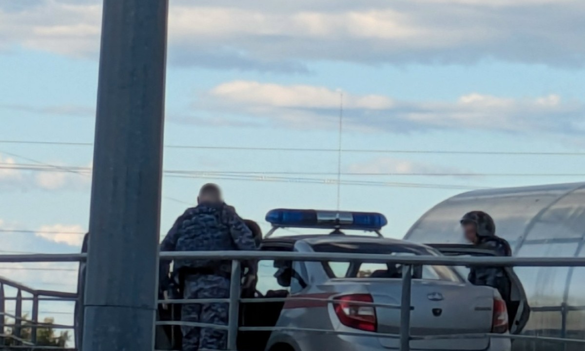 Жителя Карелии осудили за нападение на представителя власти