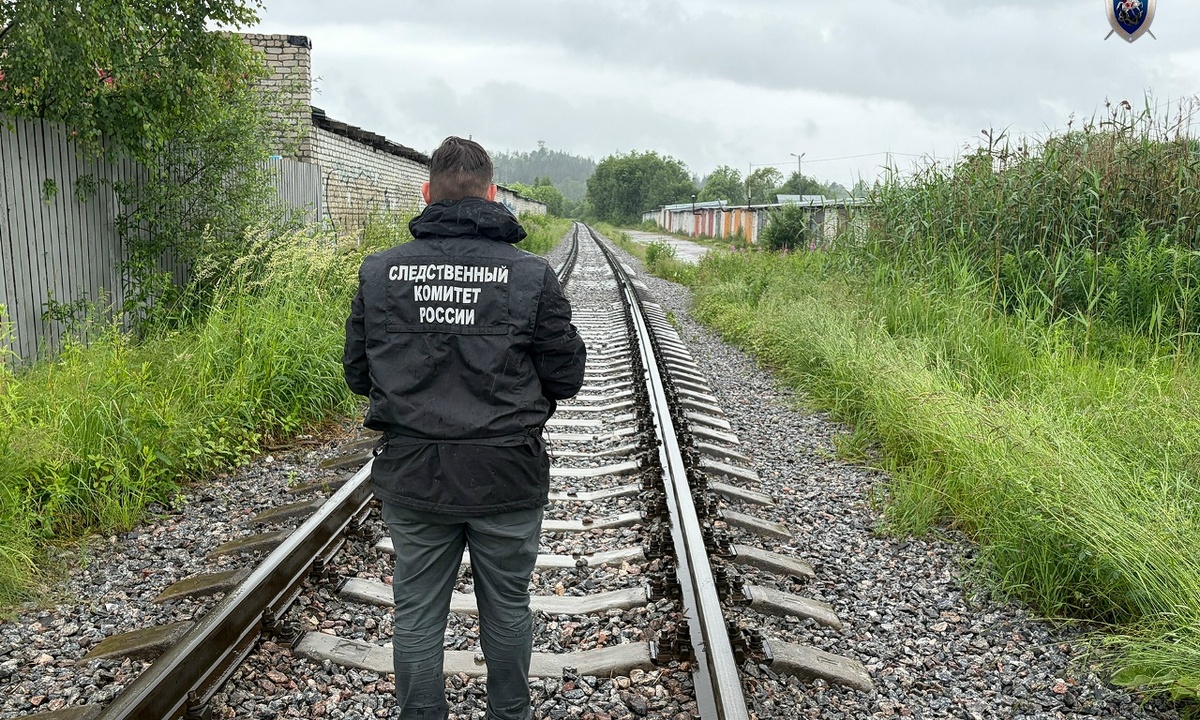 В Карелии поезд насмерть сбил  86-летнюю женщину