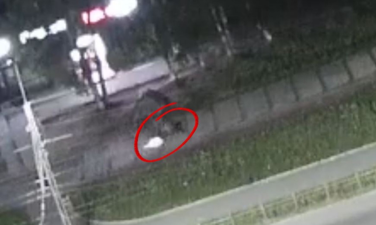 Молодой самокатчик погиб ночью в Петрозаводске (18+)
