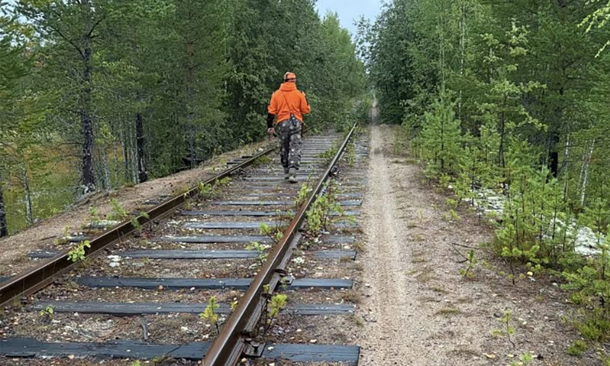 Волонтеры рассказали, как искали в Карелии потерявшегося грибника