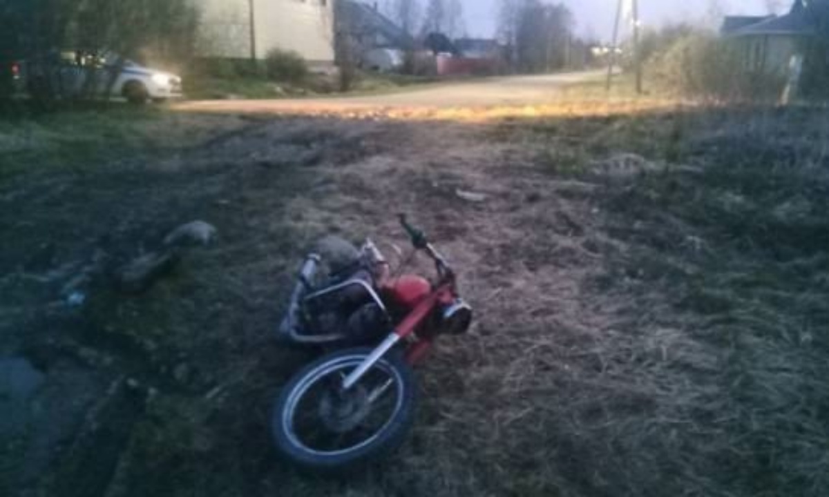 В Карелии коровы могли начать голодать из-за мотоциклистов: к проблеме подключили полицию