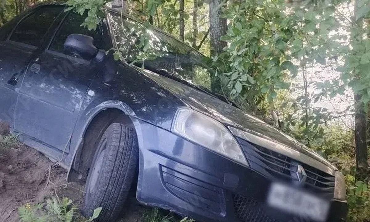 В Карелии автомобиль оказался на дереве после ДТП