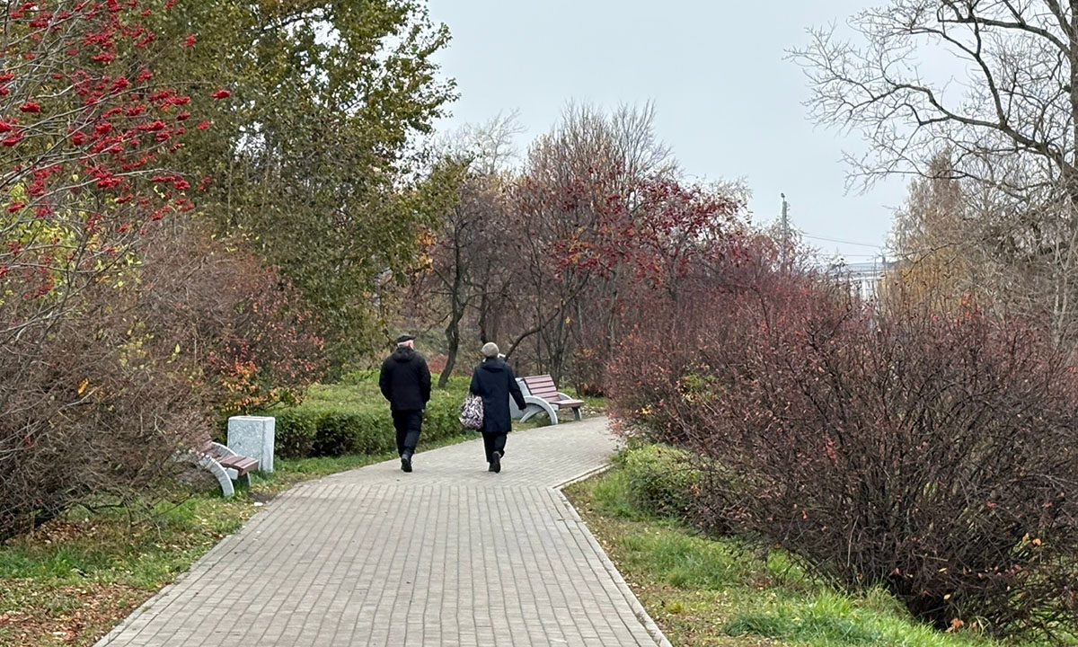 Объяснено, как не впасть в осеннюю депрессию