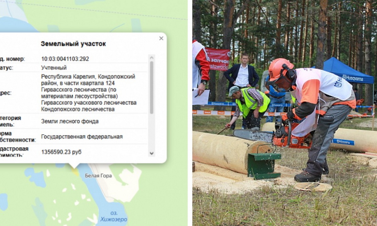 Известного карельского лесоруба через суд заставили освободить участок