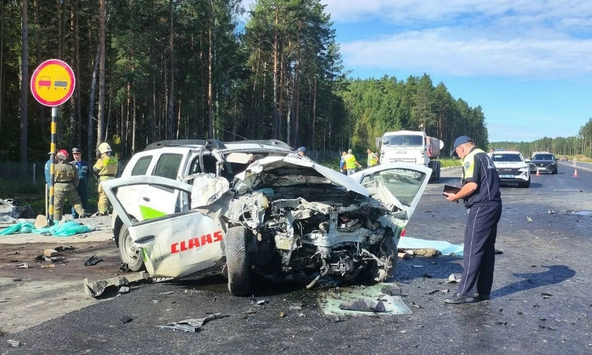 Пять человек заживо сгорели в машине на трассе