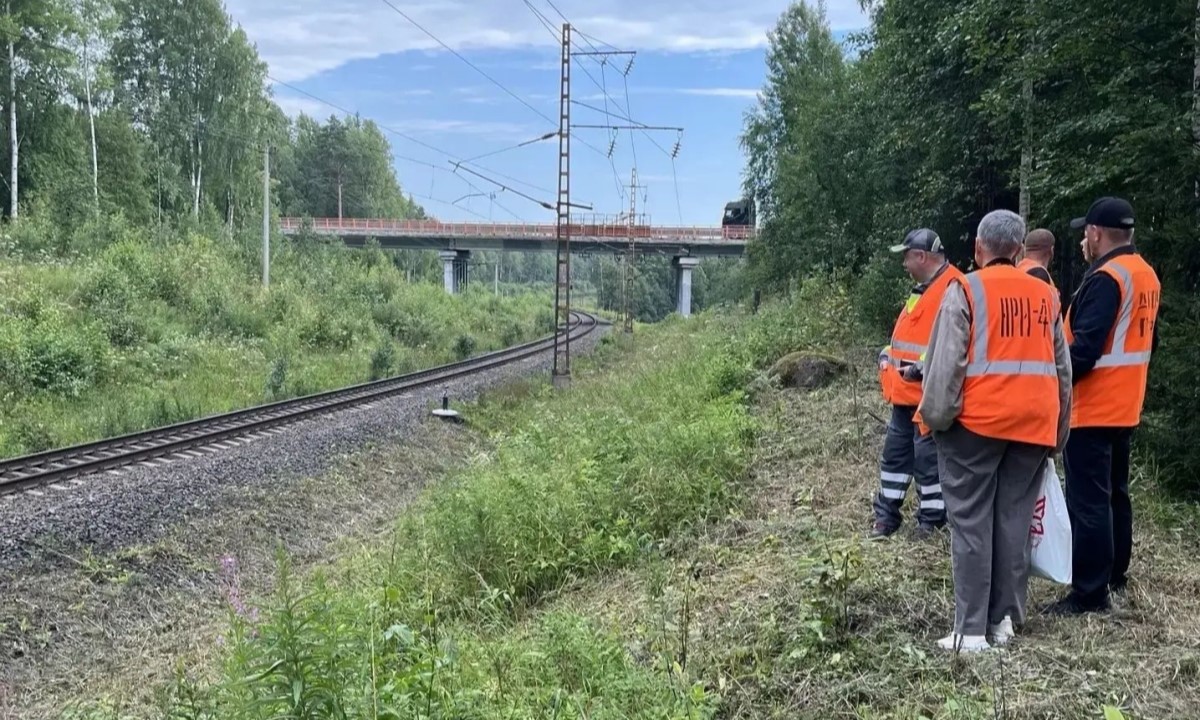 В Карелии появится новая станция «городской электрички»