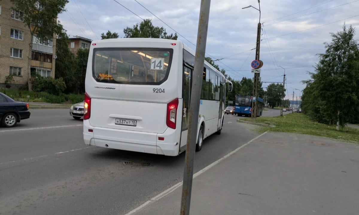 В Карелии отец-одиночка оставил последние деньги в автобусе