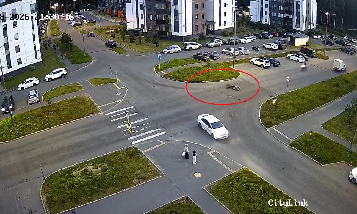 В Петрозаводске питбайкер прокатился по асфальту после неудачного трюка