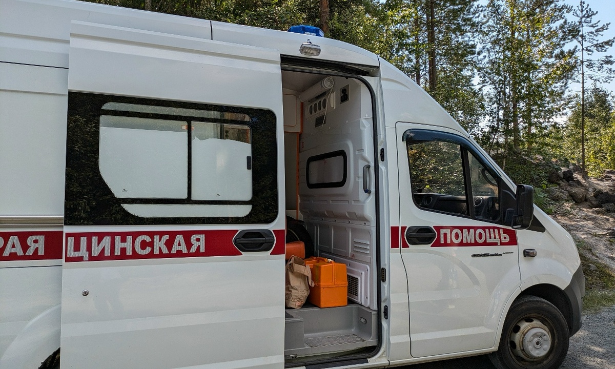 В Карелии рухнувшее дерево перекрыло дорогу «скорой», везшей пациента ночью в больницу