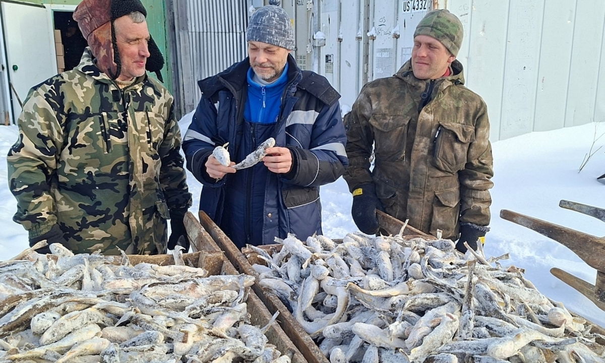 В Карелии рыбаки получают по 250 тысяч в месяц