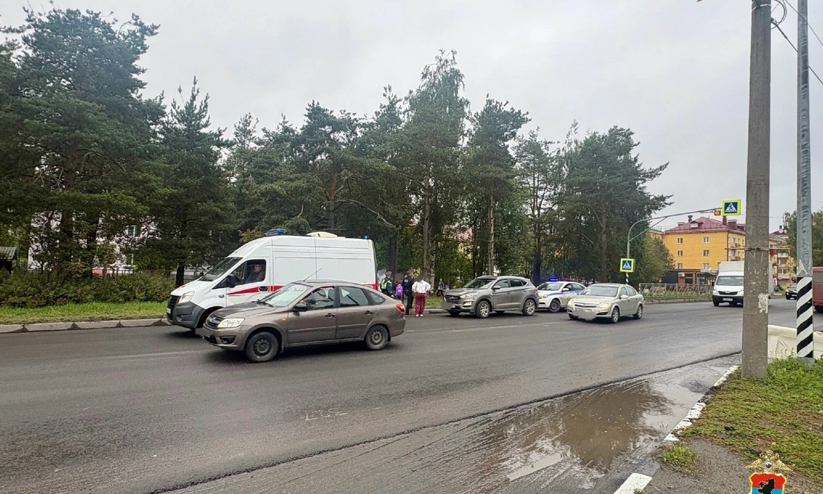 В Карелии 55-летняя женщина сбила пешехода