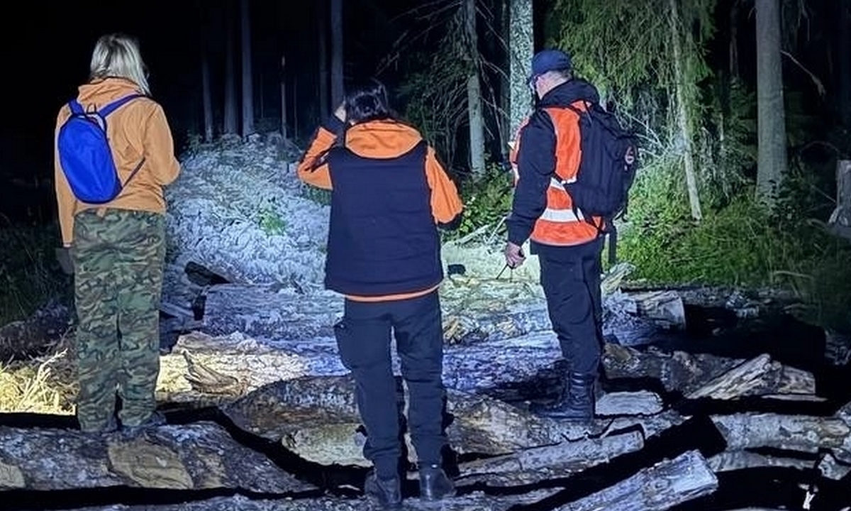 В Петрозаводске нашли 29-летнюю пропавшую женщину