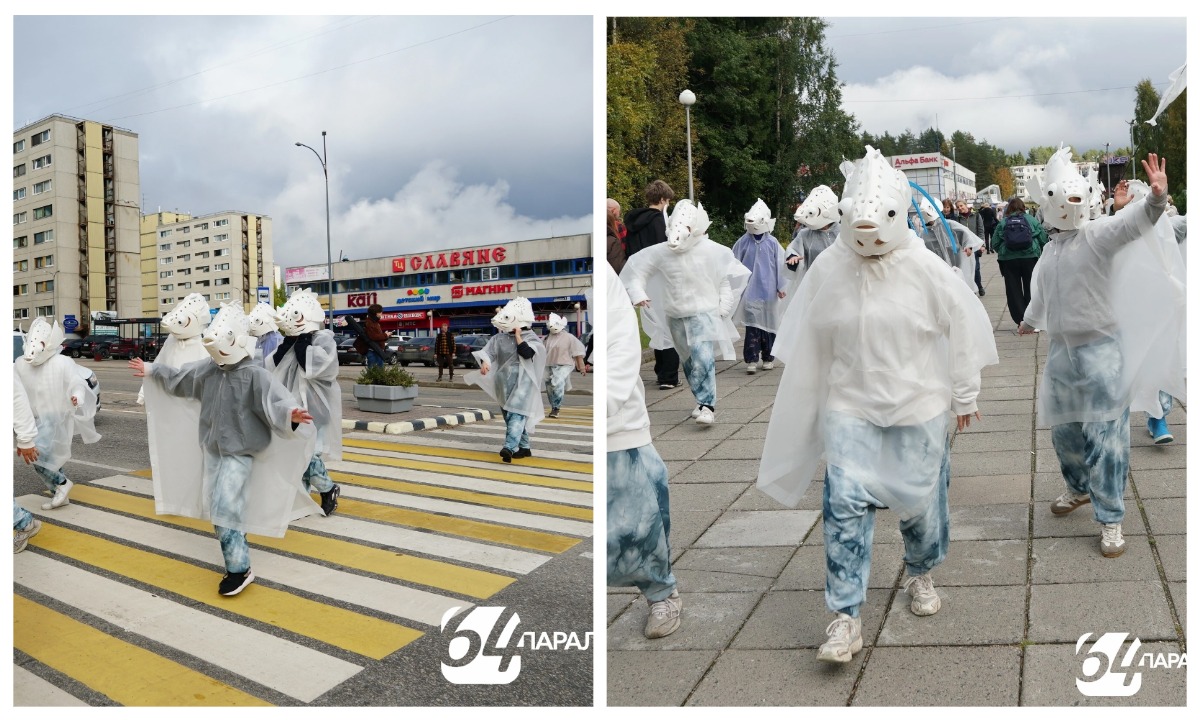 Люди-рыбы прошлись по карельскому городу