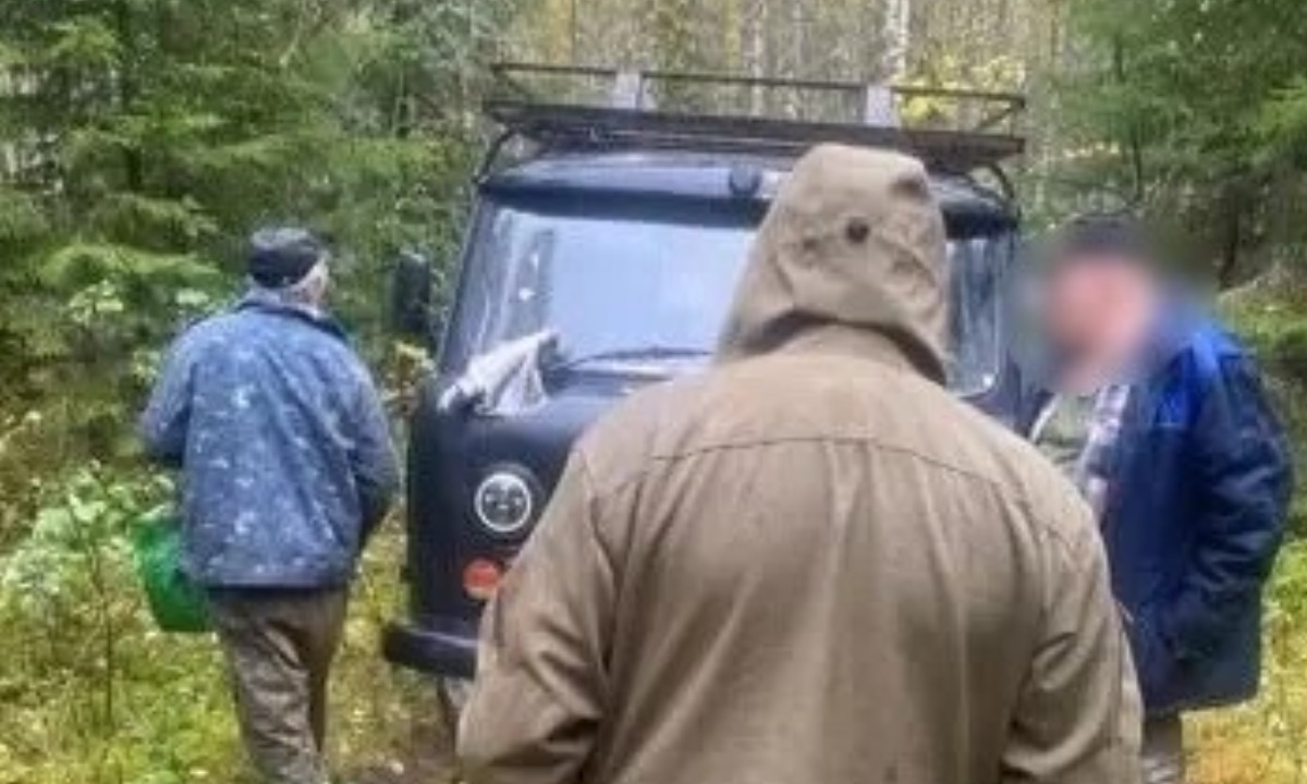 Спасатели помогли двум мужчинам, попавшим в беду в лесу Карелии